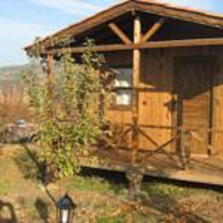 Maison d'hôtes Salkim Konak Ve Agac Evler à Selçuk Chambre photo