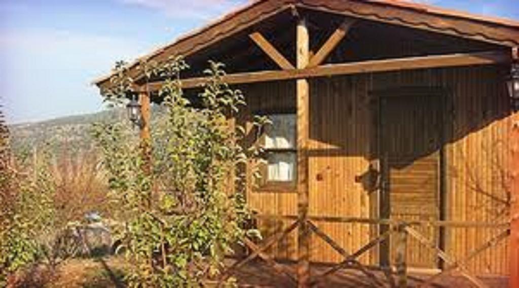 Maison d'hôtes Salkim Konak Ve Agac Evler à Selçuk Chambre photo
