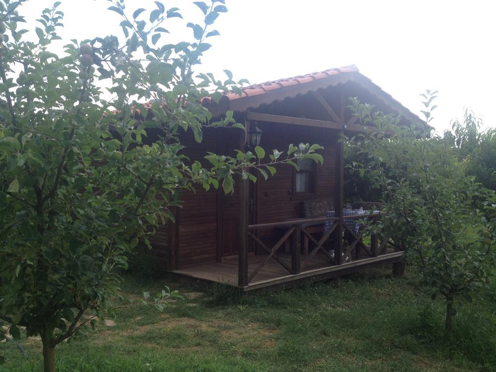 Maison d'hôtes Salkim Konak Ve Agac Evler à Selçuk Chambre photo