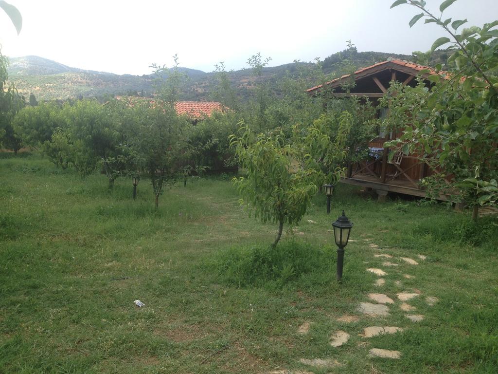 Maison d'hôtes Salkim Konak Ve Agac Evler à Selçuk Chambre photo