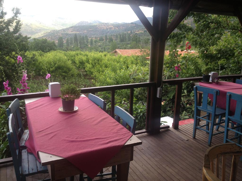 Maison d'hôtes Salkim Konak Ve Agac Evler à Selçuk Extérieur photo