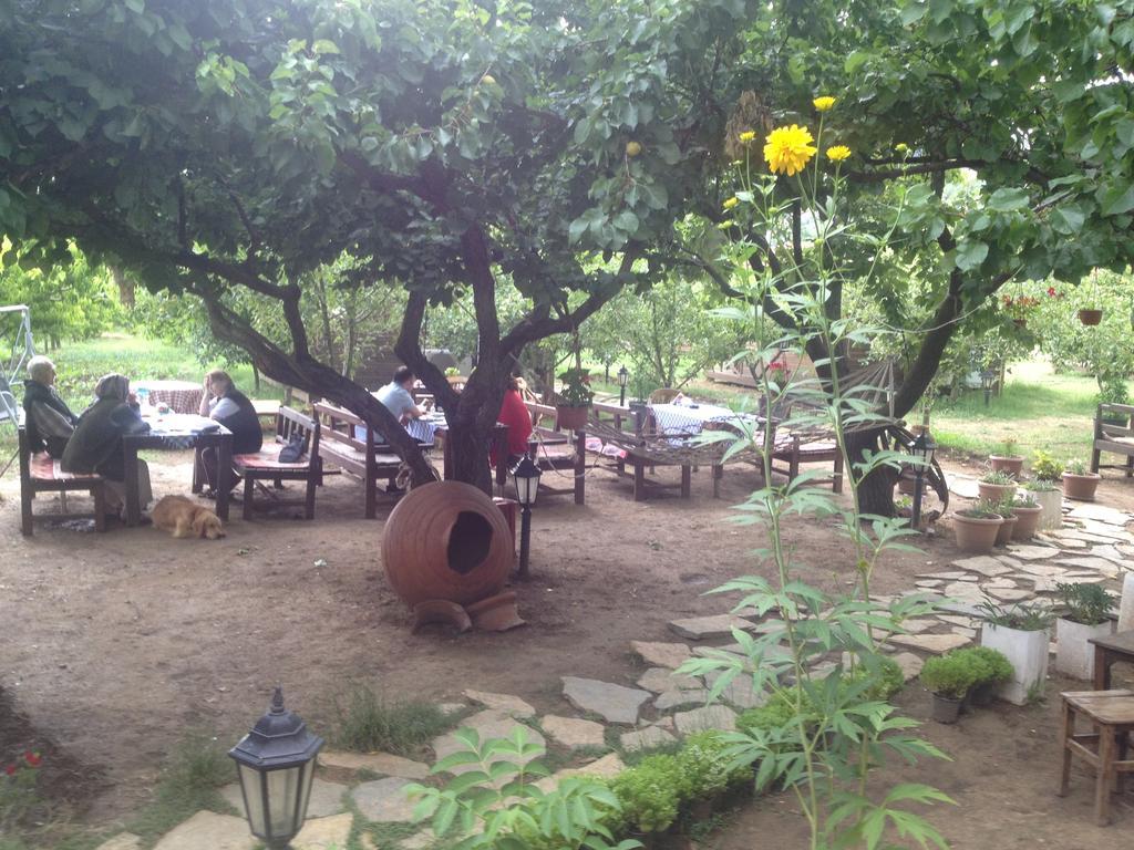 Maison d'hôtes Salkim Konak Ve Agac Evler à Selçuk Extérieur photo