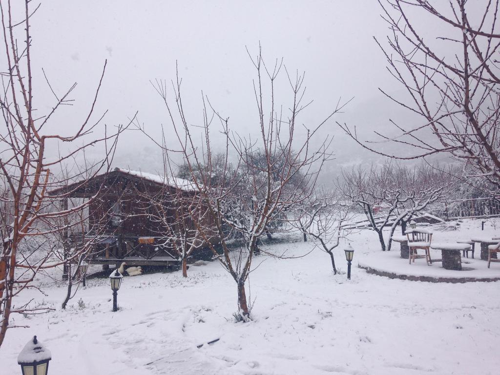 Maison d'hôtes Salkim Konak Ve Agac Evler à Selçuk Extérieur photo