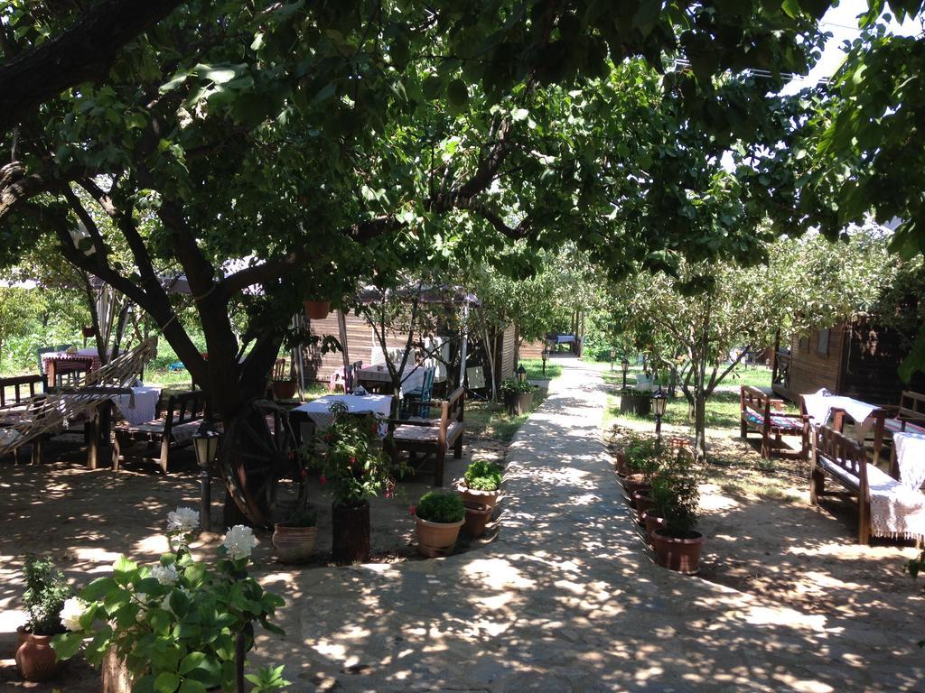 Maison d'hôtes Salkim Konak Ve Agac Evler à Selçuk Extérieur photo