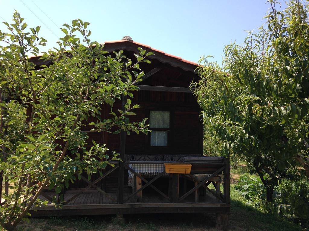 Maison d'hôtes Salkim Konak Ve Agac Evler à Selçuk Extérieur photo