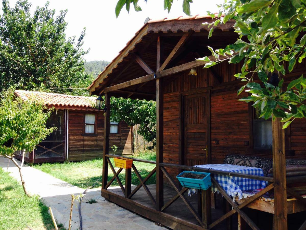 Maison d'hôtes Salkim Konak Ve Agac Evler à Selçuk Extérieur photo